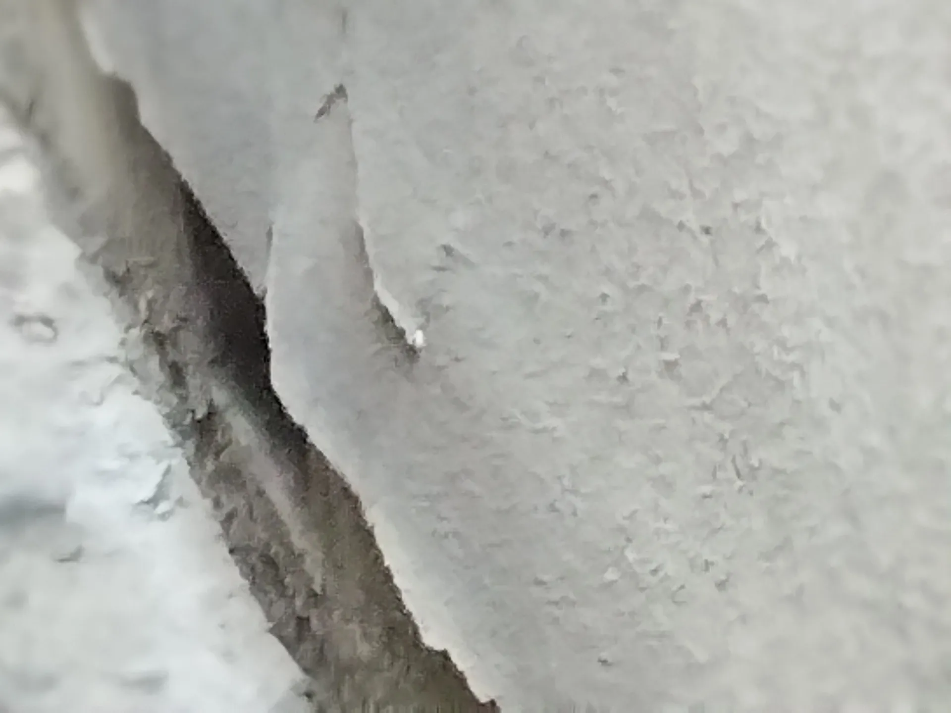 大阪府吹田市に外壁フル塗装の現場調査に行きました。