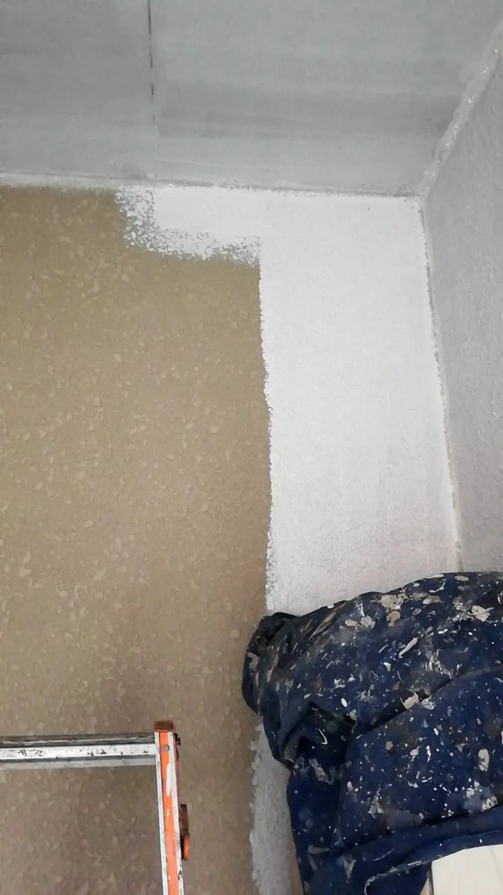 大阪府豊中市で外壁フル塗装の中塗､下塗を、施工しました。