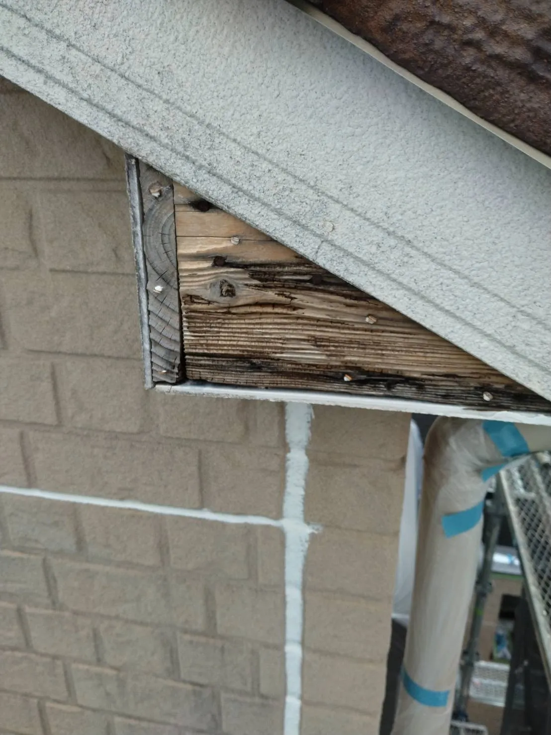 大阪府高槻市で外壁フル塗装の下地処理､下地補修､下塗を施工しました。